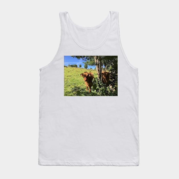 Scottish Highland Cattle Calves 1489 Tank Top by SaarelaHighland